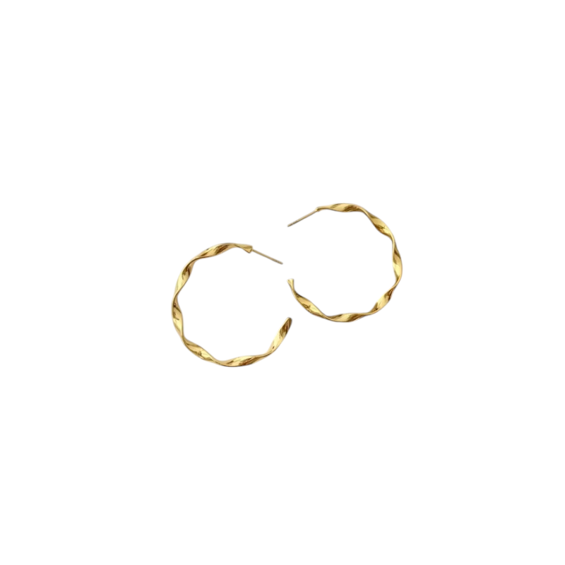 Reptronic Stainless steel Gold plated round earrings-Twisted Hoop Earrings